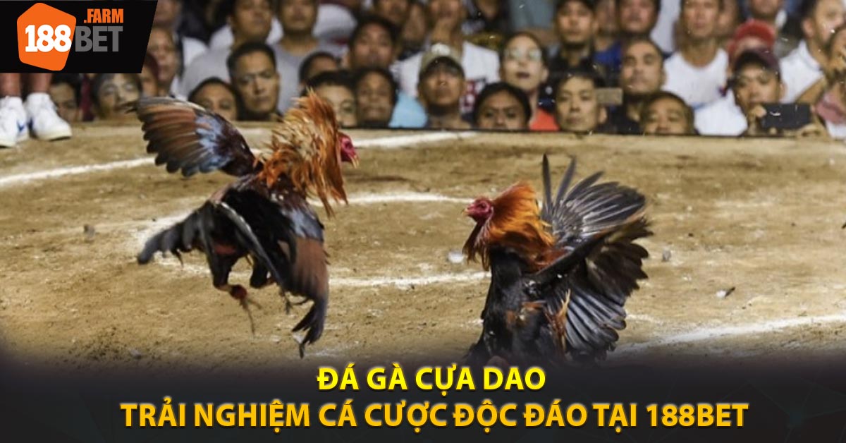 Đá Gà Cựa Dao - Trải Nghiệm Cá Cược Độc Đáo Tại 188BET