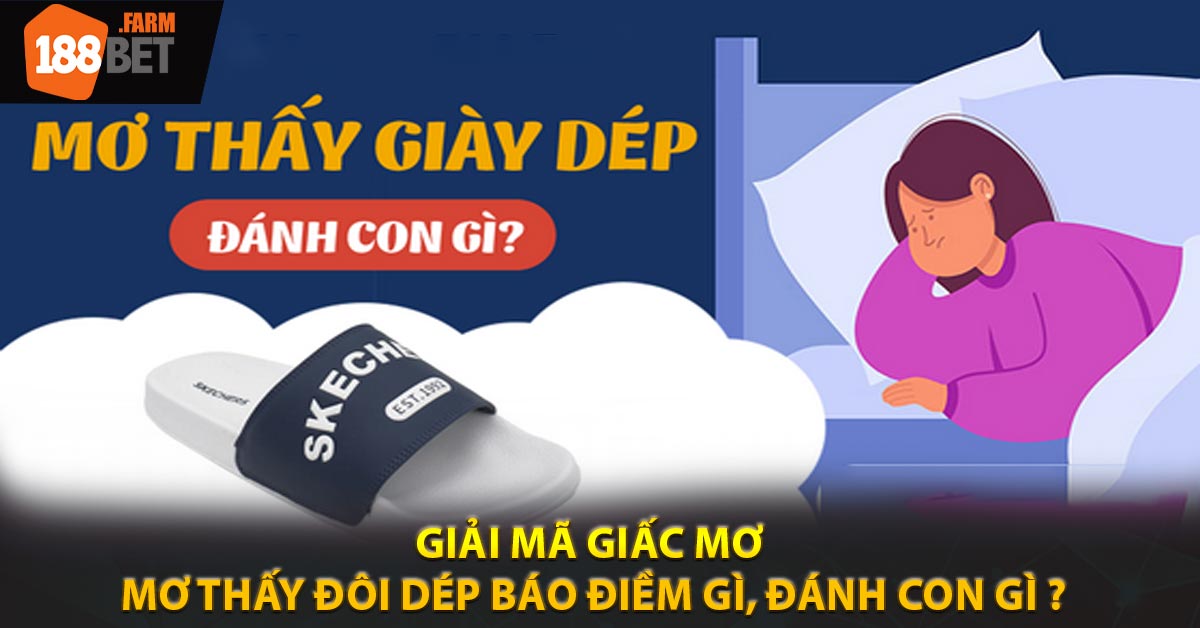 Giải Mã Giấc Mơ - Mơ Thấy Đôi Dép Báo Điềm Gì, Đánh Con Gì ?