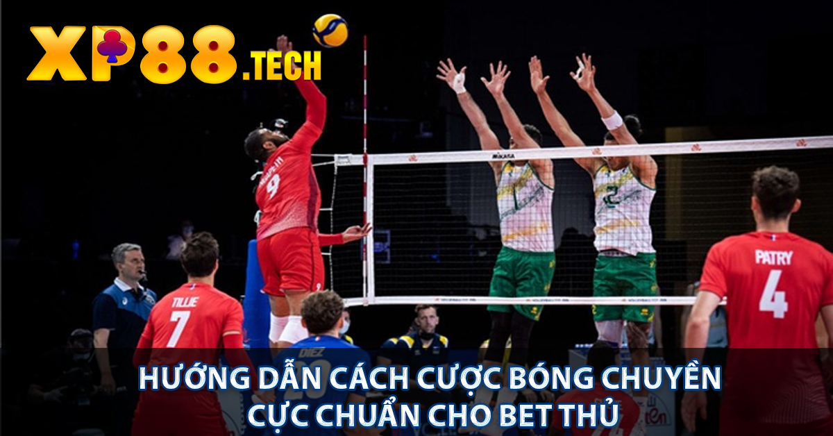 Hướng Dẫn Cách Cược Bóng Chuyền Cực Chuẩn Cho Bet Thủ