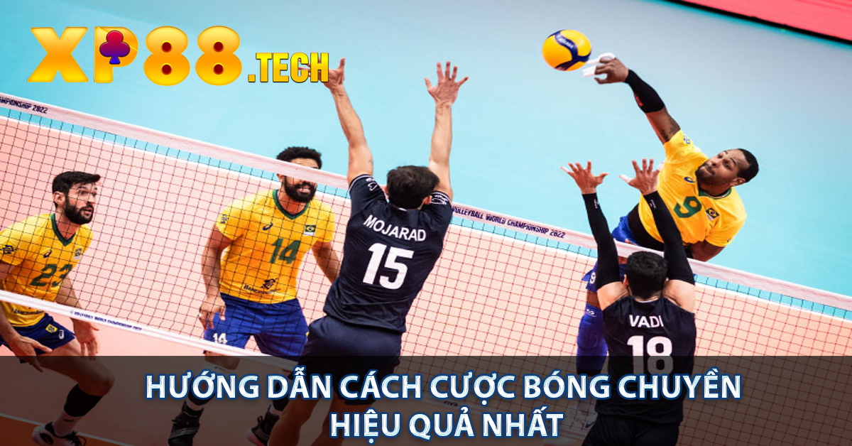 Hướng dẫn cách cược bóng chuyền hiệu quả nhất