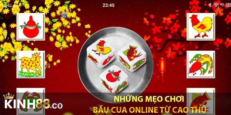 Những mẹo chơi bầu cua online từ cao thủ