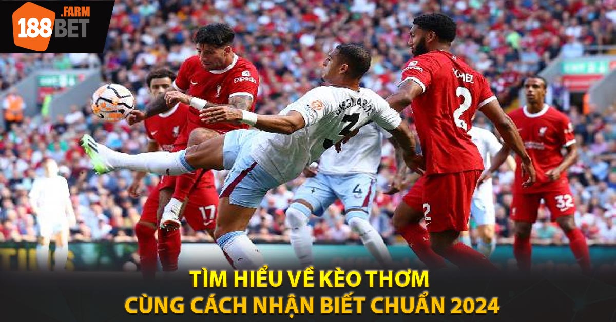 Tìm Hiểu Về Kèo Thơm Cùng Cách Nhận Biết Chuẩn 2024