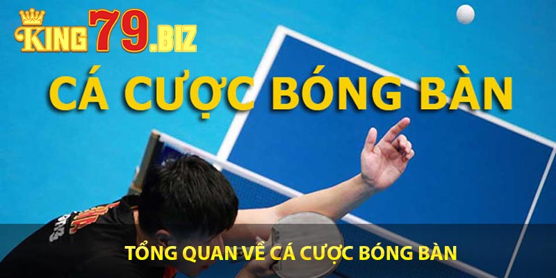 Tổng quan về cá cược bóng bàn